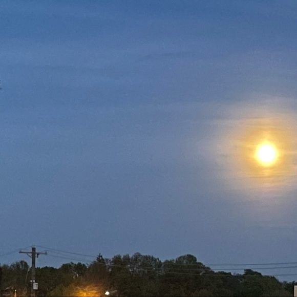 Meet your Posher, Chloe - Picture 1 of 1